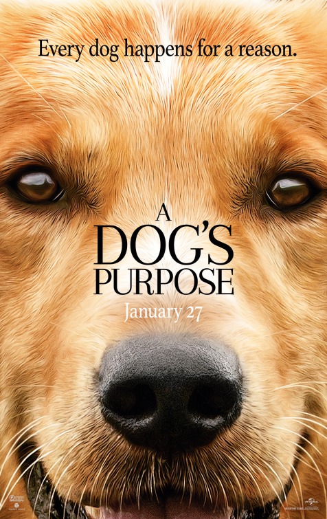 หนังเข้าใหม่ ล่าสุด, โปรแกรมหนัง เข้าใหม่ ก.พ. 2560, A Dog’s Purpose