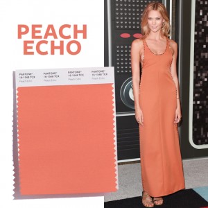 สีมาแรง : พีชหวาน peach-echo
