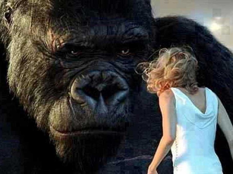 หนัง ผจญภัย , King Kong (2005)