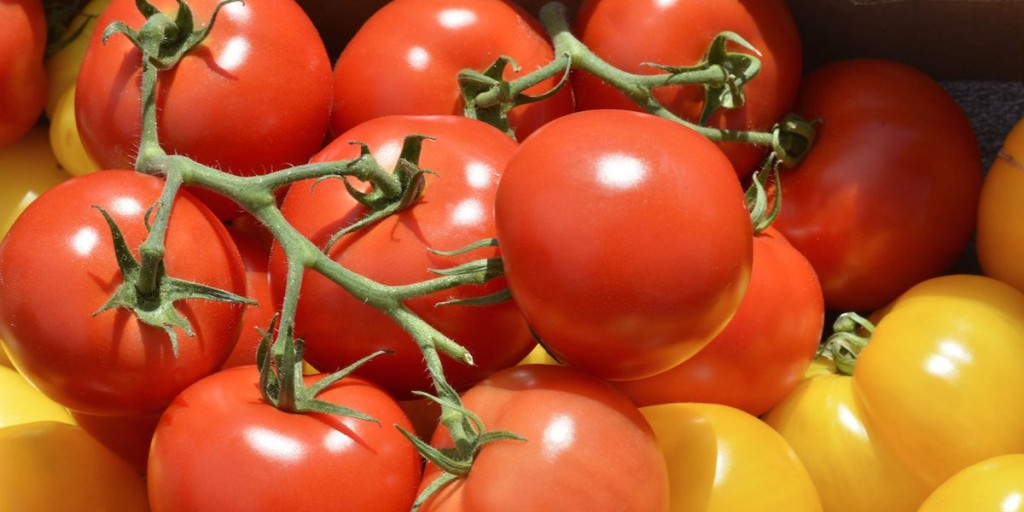 9-tomatoes