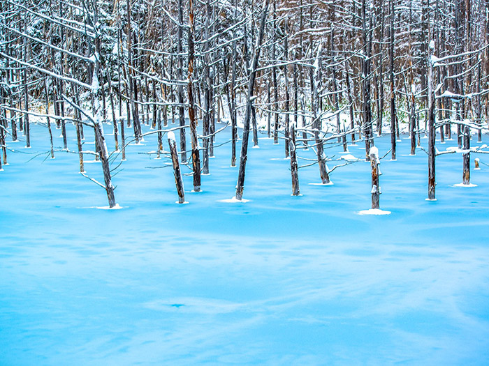 frozen-blue-pond-hokkaido-cr-getty-1