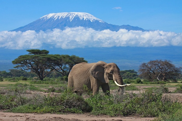 ภูเขา Mount Kilimanjaro ประเทศแทนซาเนีย