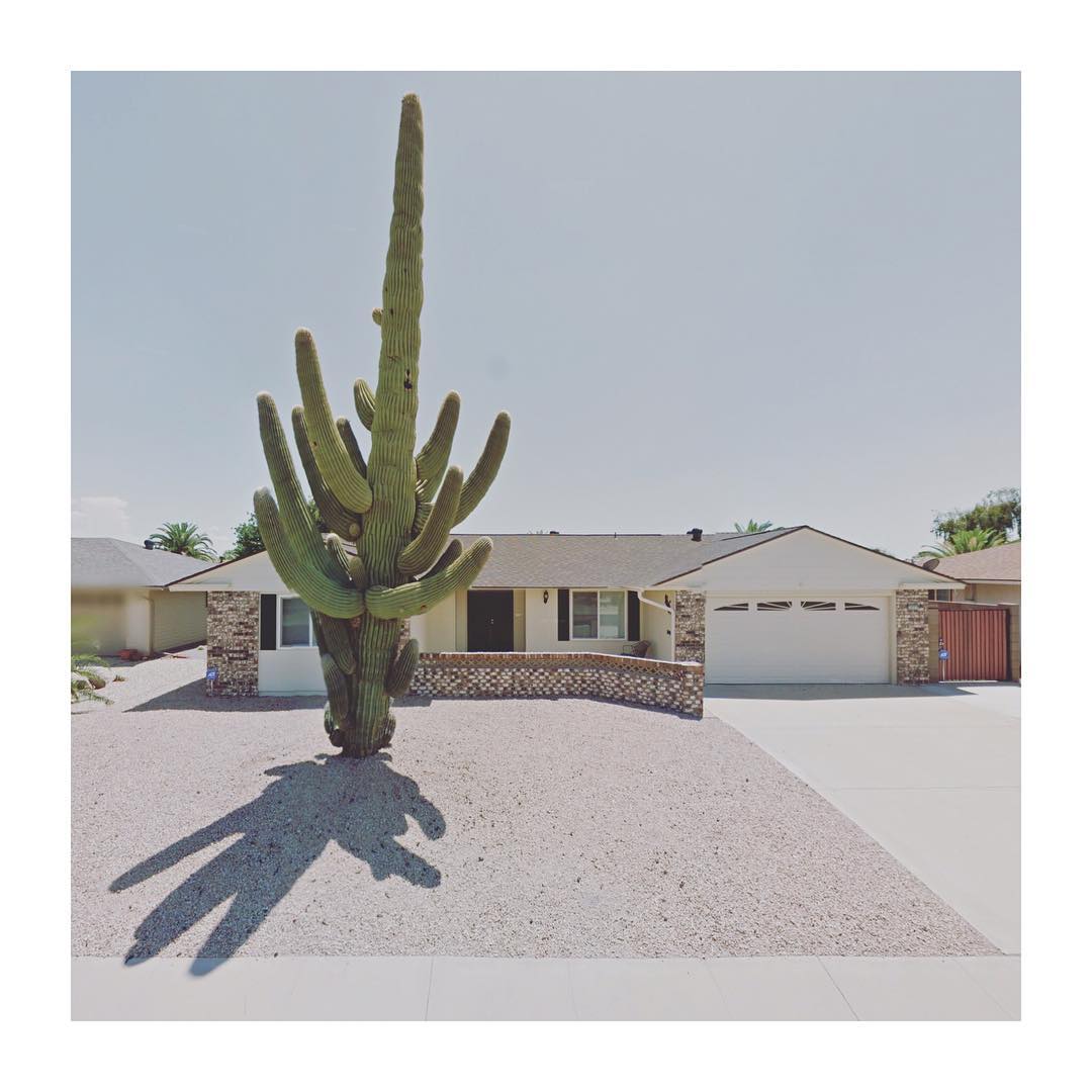 streetview.portraits-Impressive cactus - Sun City in Arizona