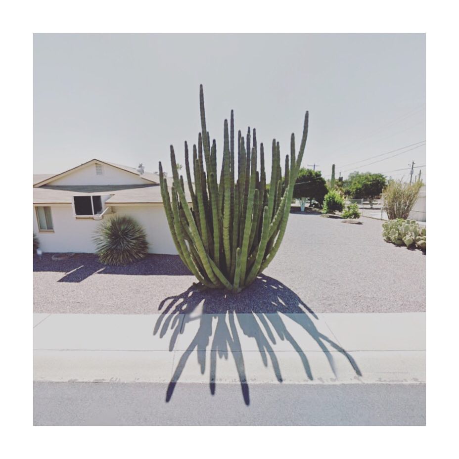 streetview.portraits-Organ Pipe Cactus, Arizona