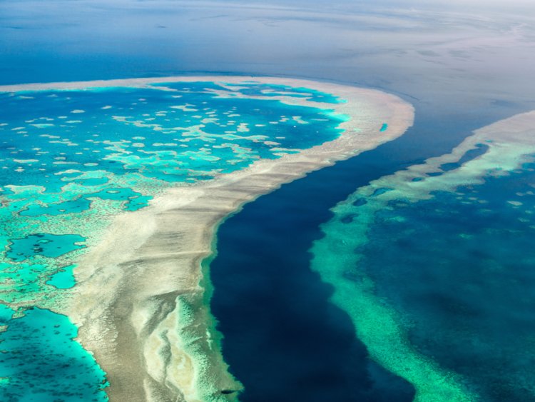 Great Barrier Reef ออสเตรเลีย