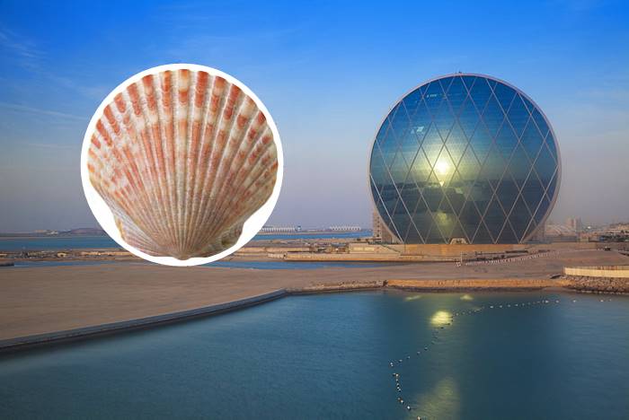 ตึก Aldar headquarters เมือง Abu Dhabi – เปลือกหอย