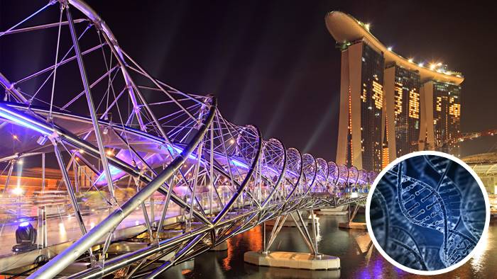 สะพานเกลียว ฮีลิกซ์ Helix Bridge สิงคโปร์ – โครงสร้าง DNA