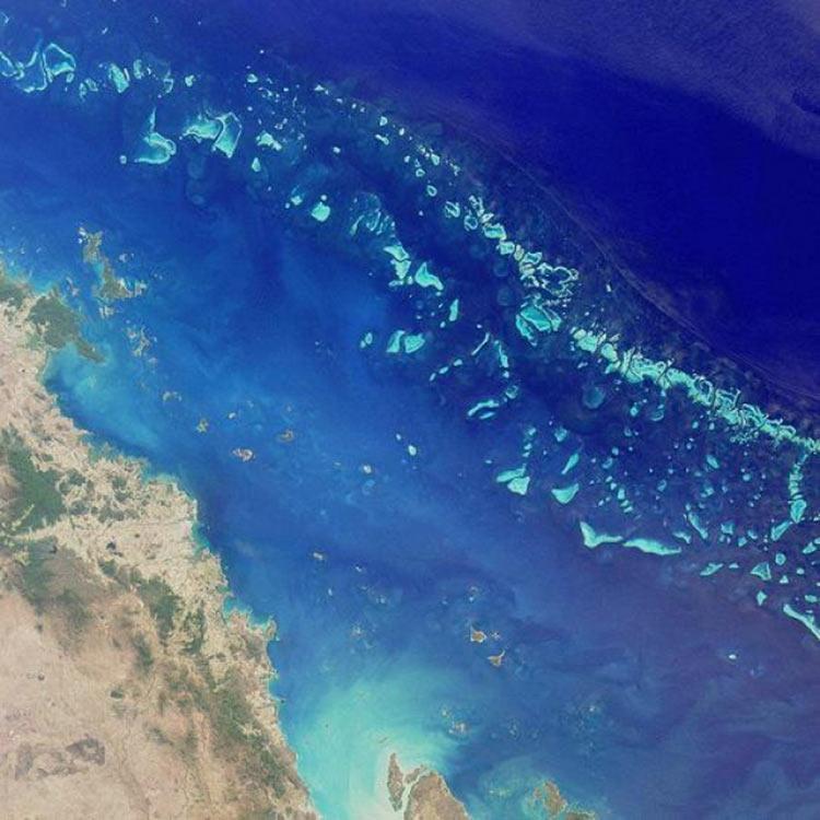 เจ้าแห่งน่านน้ำ โพไซดอนแห่งปาการัง The Great Barrier Reef
