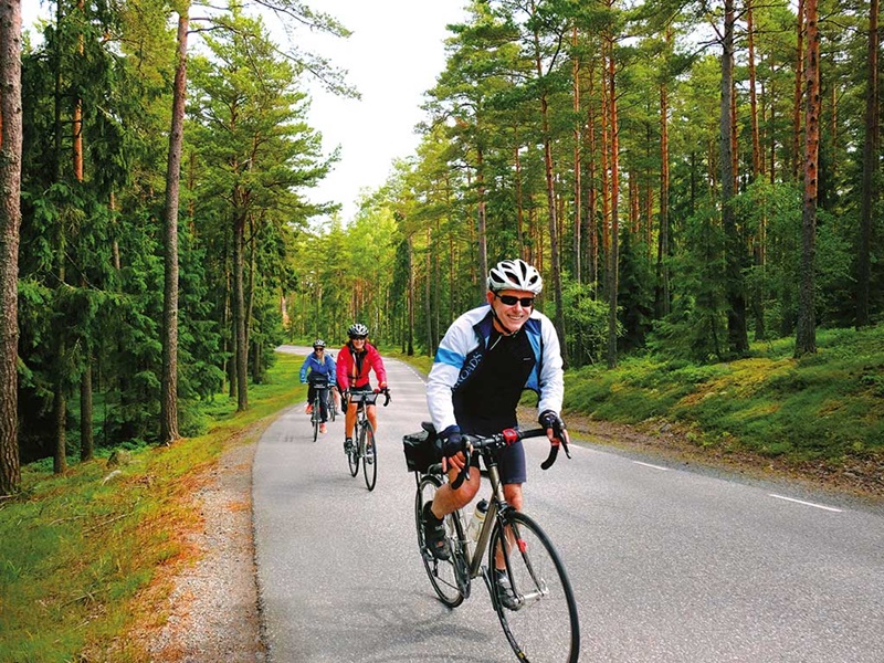 Bike tour. Велосипедный туризм в Калининградской области. Copenhagen biking Tour. Biking Tour in Stockholm. Cycling in Finland pictures.