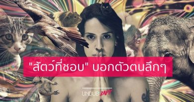 ชอบแมว เป็นคนไม่ชอบตีกรอบ! ทายนิสัย จาก “สัตว์ที่ชอบ” วัดระดับอินเนอร์ภายใน ตัวตนที่ซ่อนอยู่ ชอบแมว เป็นคนไม่ชอบตีกรอบ! ทายนิสัย จาก “สัตว์ที่ชอบ” วัดระดับอินเนอร์ภายใน ตัวตนที่ซ่อนอยู่