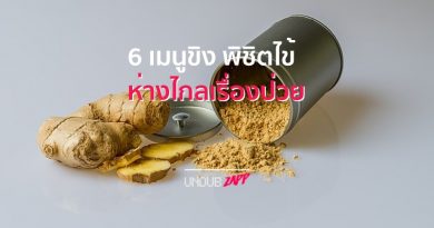 ขิงได้ ขิงดี!! 6 เมนูขิงบรรเทาอาการป่วย กลิ่นหอมชื่นใจ ห่างไกลไข้หวัด ขิงได้ ขิงดี!! 6 เมนูขิงบรรเทาอาการป่วย กลิ่นหอมชื่นใจ ห่างไกลไข้หวัด