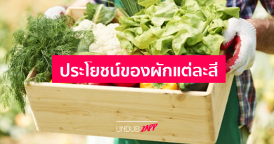 ผักให้สารอาหารประเภทใด? 4 ข้อควรรู้ประโยชน์ผักเพื่อสุขภาพ ผักให้สารอาหารประเภทใด? 4 ข้อควรรู้ประโยชน์ผักเพื่อสุขภาพ